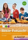 Beste Freunde A1.1: Interaktives Kursbuch Tschechisch - Georgiakaki Manuela