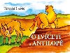 O lveti a antilop - Tom Lank