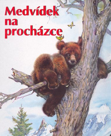 Medvdek na prochzce - 