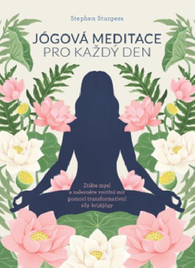 Jógová meditace pro každý den - Stephen Sturgess