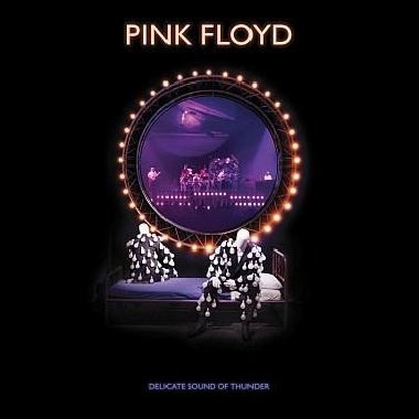 Delicate Sound of Thunder - Pink Floyd