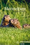 Murmeltiere - Thoma Leonhard