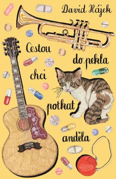 Cestou do pekla chci potkat andla - Hjek David