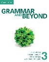 Grammar and Beyond 3: Students Book, Workbook, and Writing Skills Interactive for Blackboard Pack - Reppen Randi