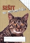 Seit na matematiku - obdlnkov s 5 x 7mm - neuveden