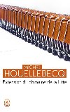 Extension du domaine de la lutte - Houellebecq Michel
