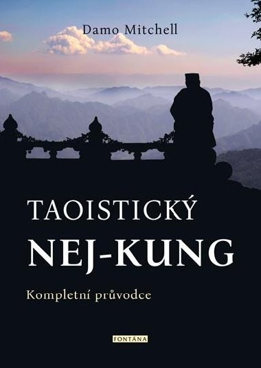 Taoistick NEJ-KUNG - Damo Mitchell