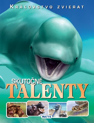 Skuton talenty - 
