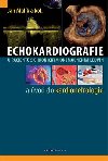 Echokardiografie u pacient s chronickm onemocnnm ledvin a vod do kardionefrologie - Jan Malk