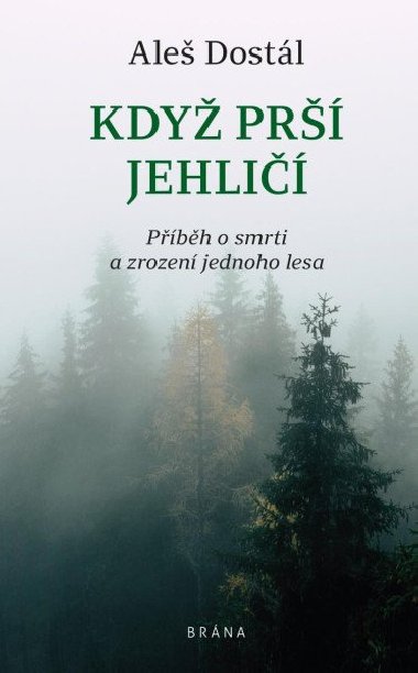 Kdy pr jehli - Pbh o smrti a zrozen jednoho lesa - Ale Dostl