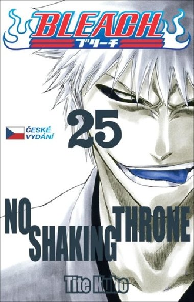 Bleach 25 - Tite Kubo
