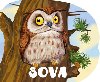 Sova - 