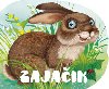 Zajaik - 
