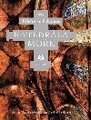 Katedrla moe - Ildefonso Falcones