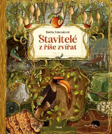 Stavitel z e zvat - Emilia Dziubakov