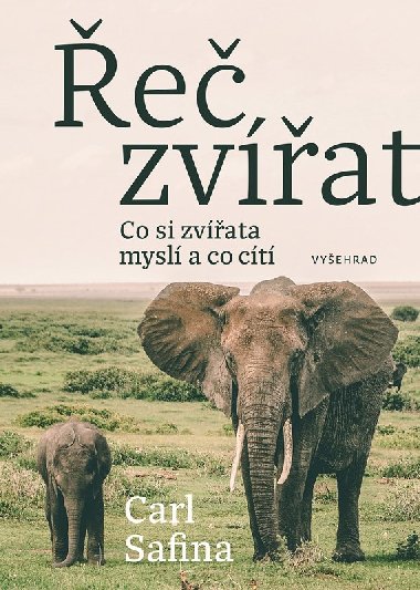 e zvat - Safina Carl