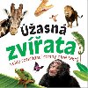 ھasn zvata - Bookmedia