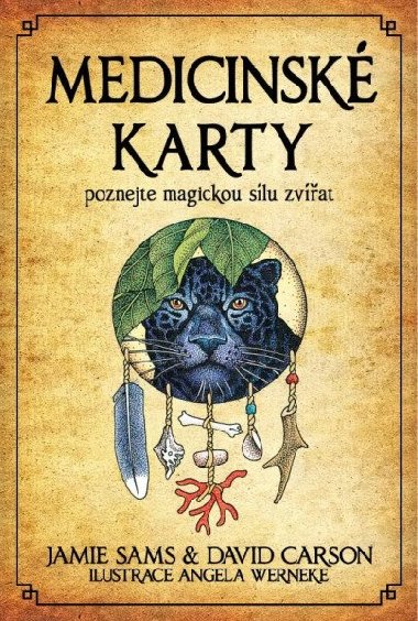 Medicinsk karty (Kniha a 52 karet) - David Carson; Jamie Sams