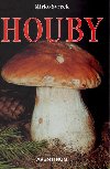 Houby - Svrek Mirko