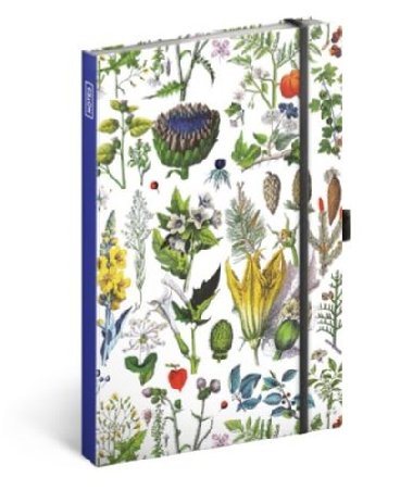 Notes Bylinky Kateiny Winterov, linkovan - Kateina Winterov