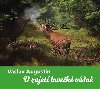 V zajet loveck vn - Vclav Augustin