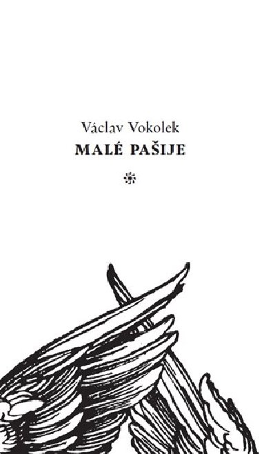 Mal paije - Vclav Vokolek