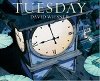 Tuesday - Wiesner David