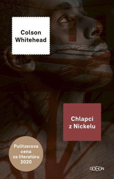 Chlapci z Nickelu (slovensky) - Whitehead Colson