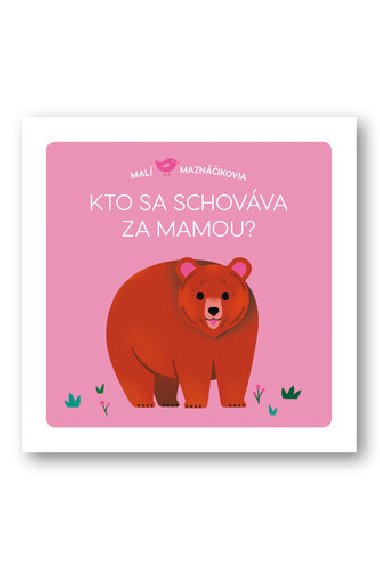 Kto sa schovva za mamou - Lucie Brunellire