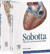 Sobotta, Atlas der Anatomie des Menschen - Paulsen Friedrich