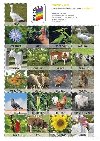 Pexeso Statek v lt (J mj svt 2) - neuveden