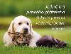 Magnet na lednici - Jedině loď pravého přátelství dokáže přestát všechny bouře. - Chinmoy Sri