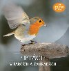 Ptáci v parcích a zahradách - Rebo