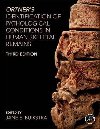 Ortner`s Identification of Pathological Conditions in Human Skeletal Remains - Buikstr Jane E.