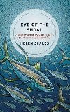 Eye of the Shoal : A Fishwatchers Guide to Life, the Ocean and Everything - Scales Helen