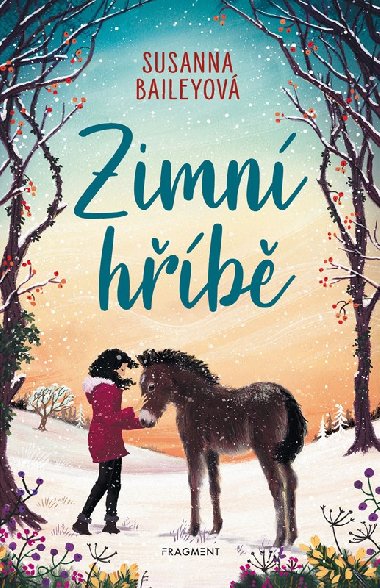 Zimn hb - Susanna Baileyov