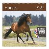 Horses - nstnn kalend 2020 - Helma