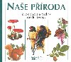 Nae proda - 