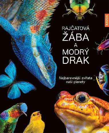 Rajatov ba a modr drak - Andrea Khrsenov