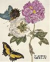 Maria Sibylla Merian - 