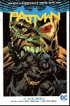 Batman J jsem zkza - Tom King; Clay Mann