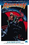 Aquaman 2 Black Mantova pomsta - Dan Abnett