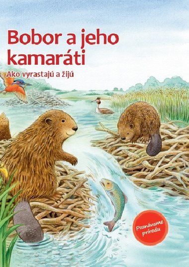 Der kleine Biber und die Tiere am Fluss - Friederun Reichenstetterov