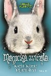 Magick zvata - Krlkovo tajemstv - Holly Webbov