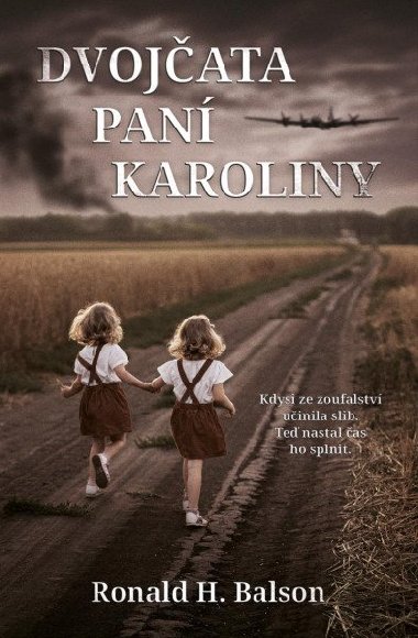Dvojata pan Karoliny - Ronald H. Balson