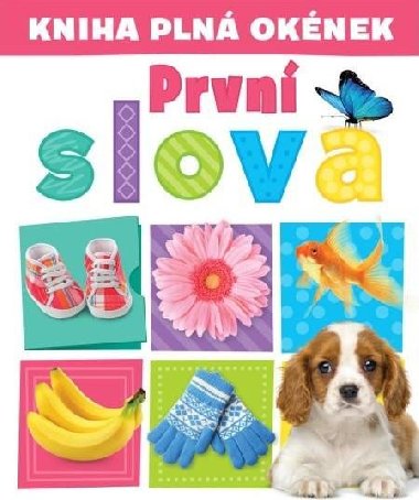 Kniha pln oknek  Prvn slova - Andrew Burgess; Pooja Desai