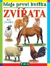 Moje prvn knka Zvata na dvoe - Librex