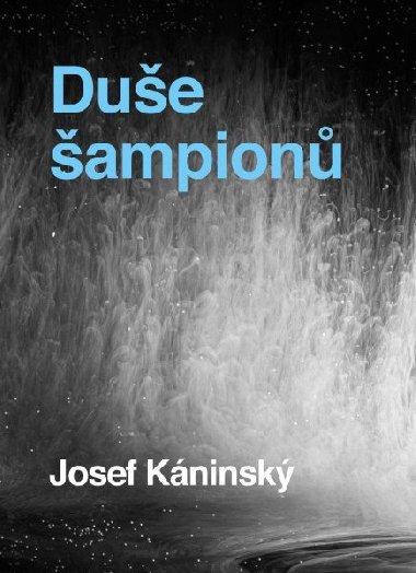 Due ampion - Josef Kninsk