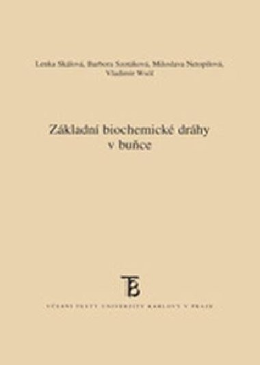 Zkladn biochemick drhy v buce - Sklov Lenka