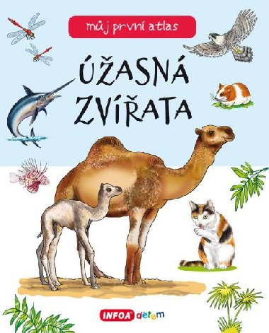 Mj prvn atlas - ھasn zvata - Infoa